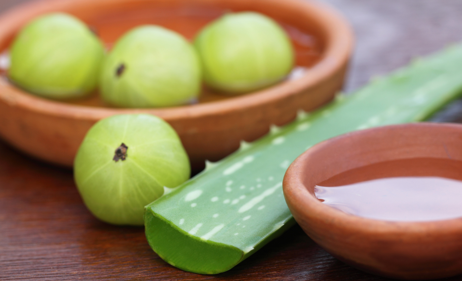 The benefits of consuming Aloe vera with Amla Sesa Care