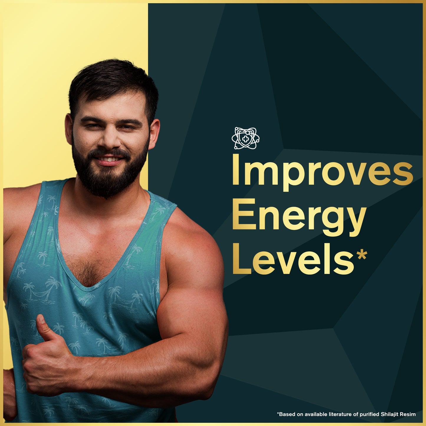 Ayurvedic Shilajit Gold Resin - 10g