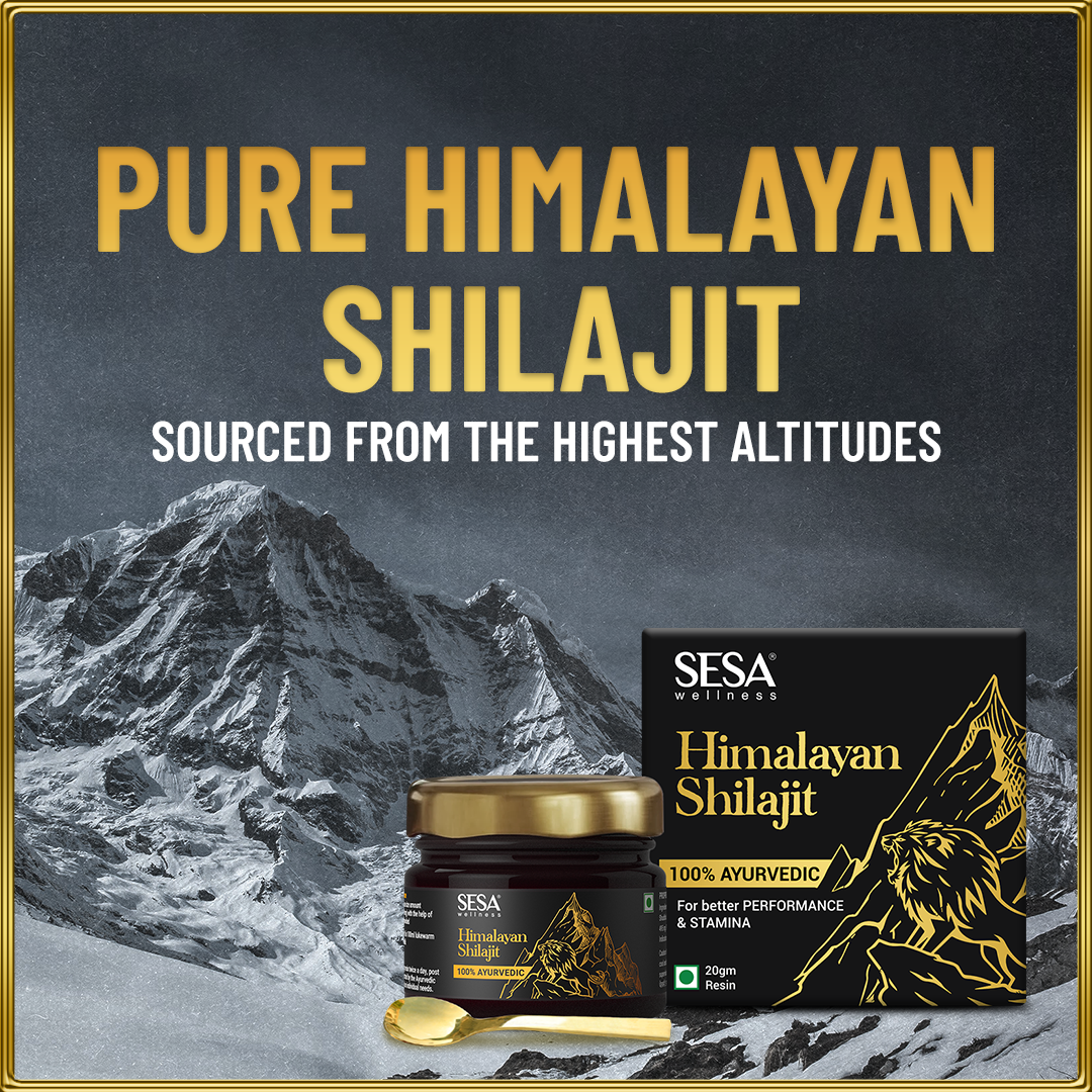 Ayurvedic Himalayan Shilajit Resin