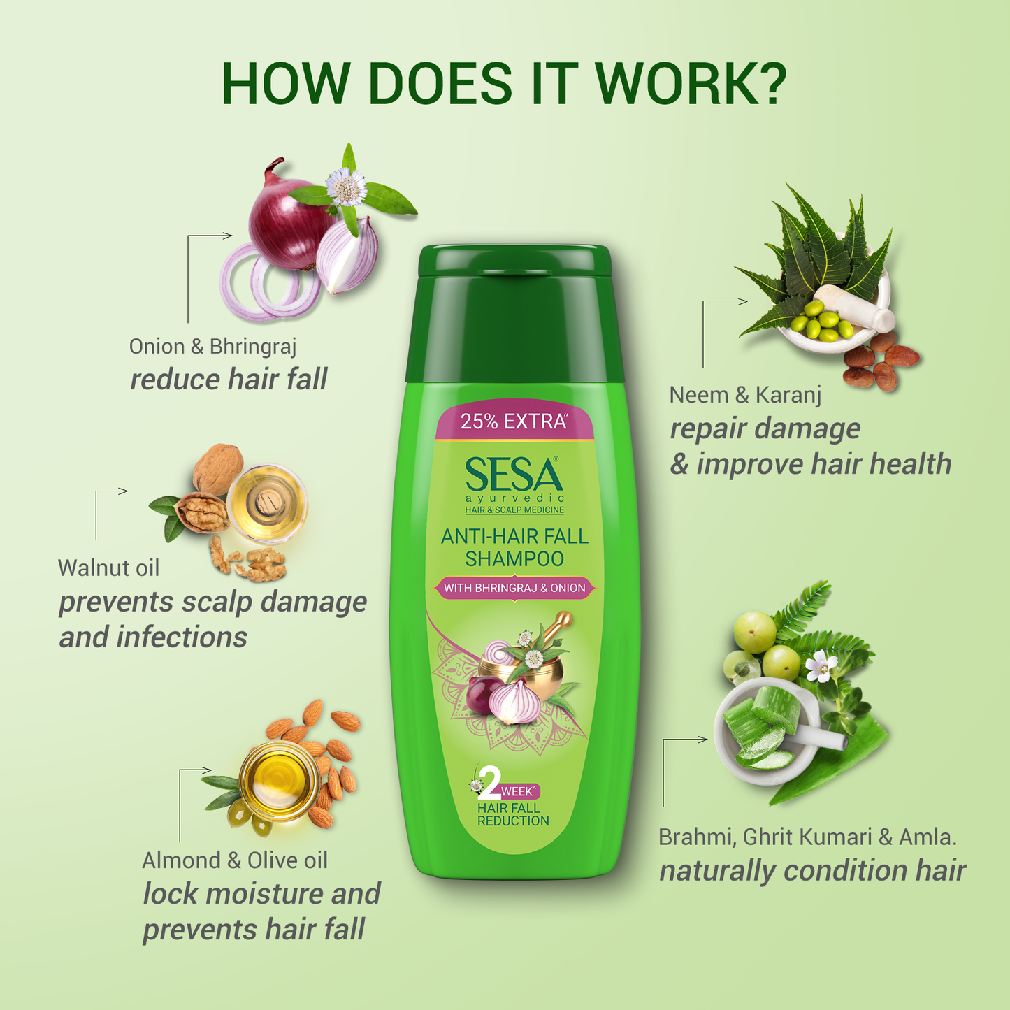 Ayurvedic Onion Anti-Hair Fall Shampoo with Bhringraj - 200ml