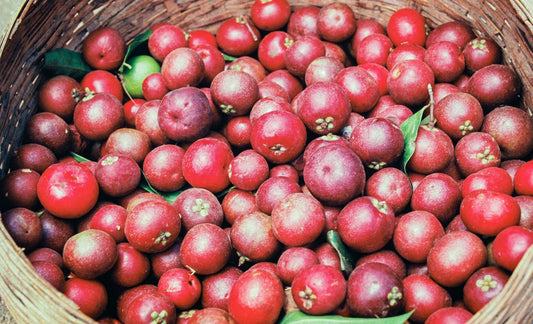 5 Reasons why Kokum helps with weight loss(1 min read)