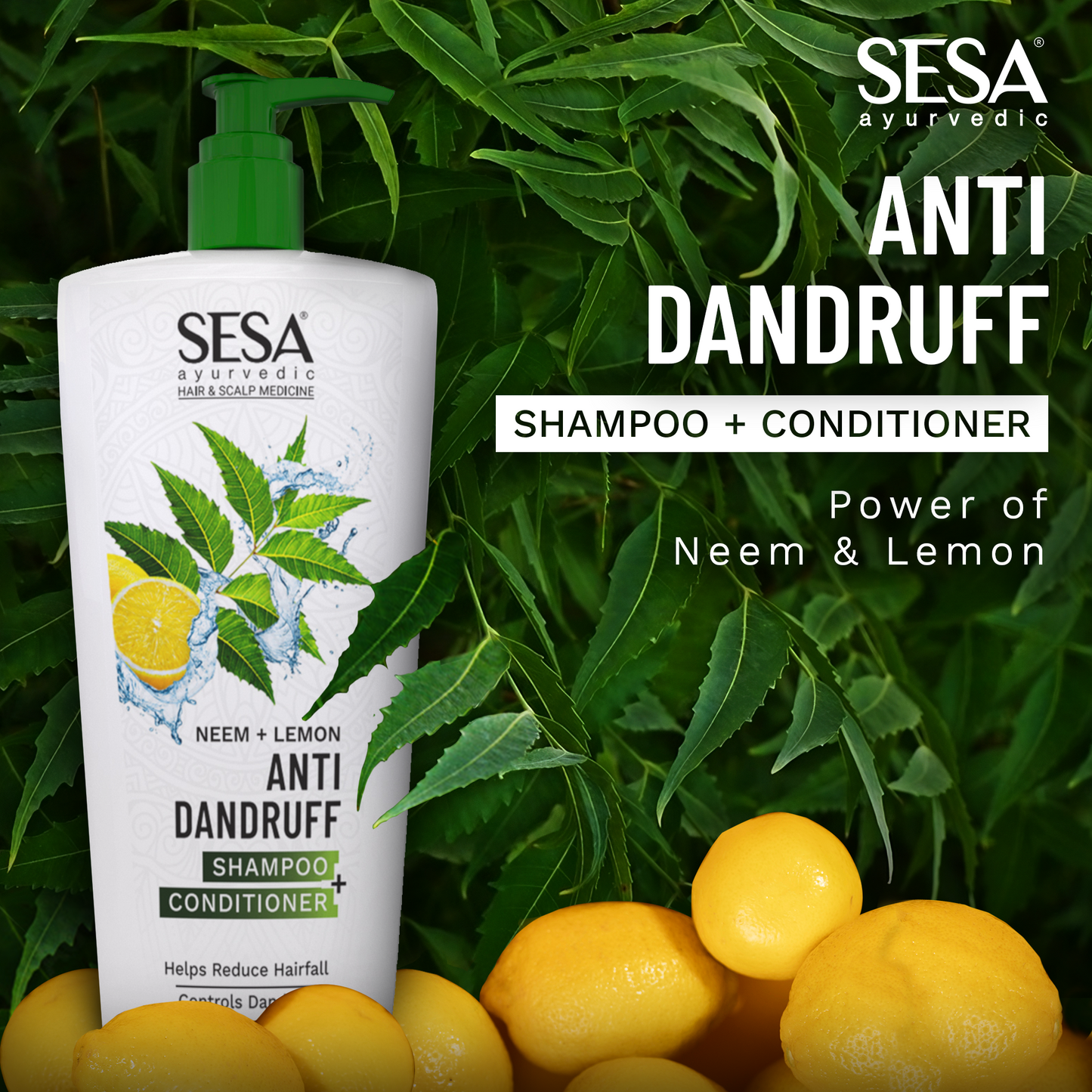 Ayurvedic Anti Dandruff Shampoo