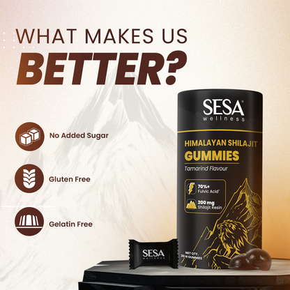 Himalayan Shilajit Gummies