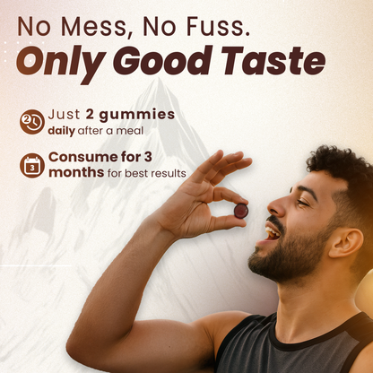 Himalayan Shilajit Gummies