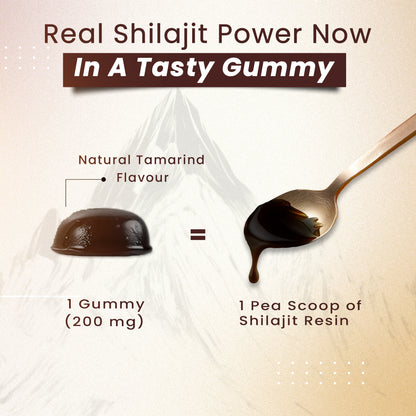 Himalayan Shilajit Gummies