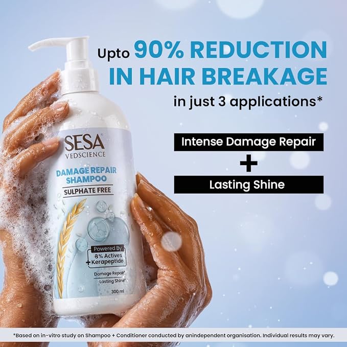 Sesa Damage Repair Routine