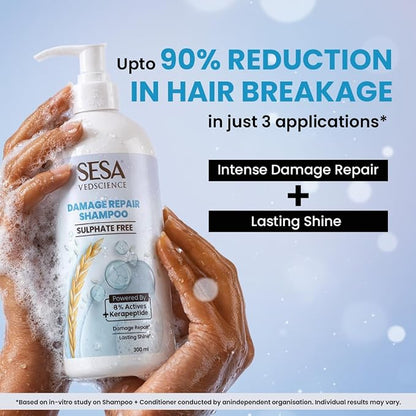 Sesa Damage Repair Routine