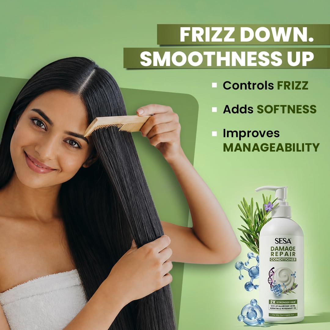 Sesa Damage Repair Routine