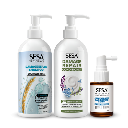 Sesa Damage Repair Routine