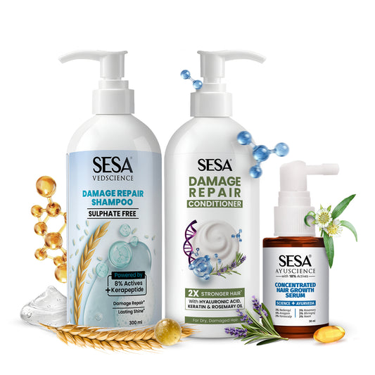 Sesa Damage Repair Routine