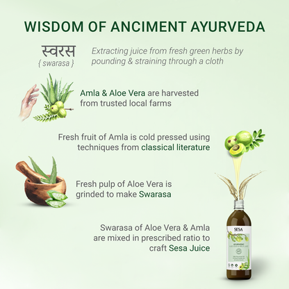 Ayurvedic Aloe Vera & Amla Juice